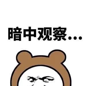 暗中观察