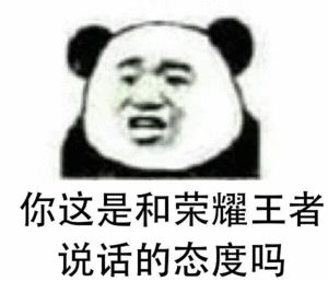 你这是和荣耀王者说话的态度吗表情包图片