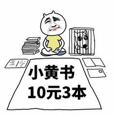 小黄书10元3本