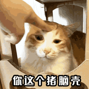 呵呵表情表情包