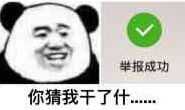 芈报成功你猜我干了什_表情包_斗图图片