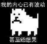 Tobyfox小白狗2表情包