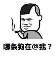 哪条狗在@我?