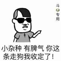 小杂种有脾气