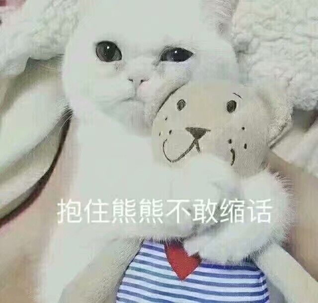 x抱住熊熊不敢缩话